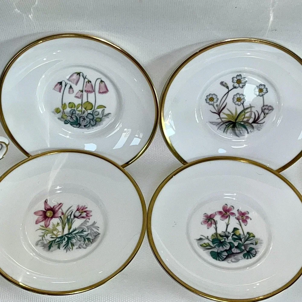 2 Royal Worcester Demitasse Cups & 4 Saucers Alpine Flower Wildflower Bone China